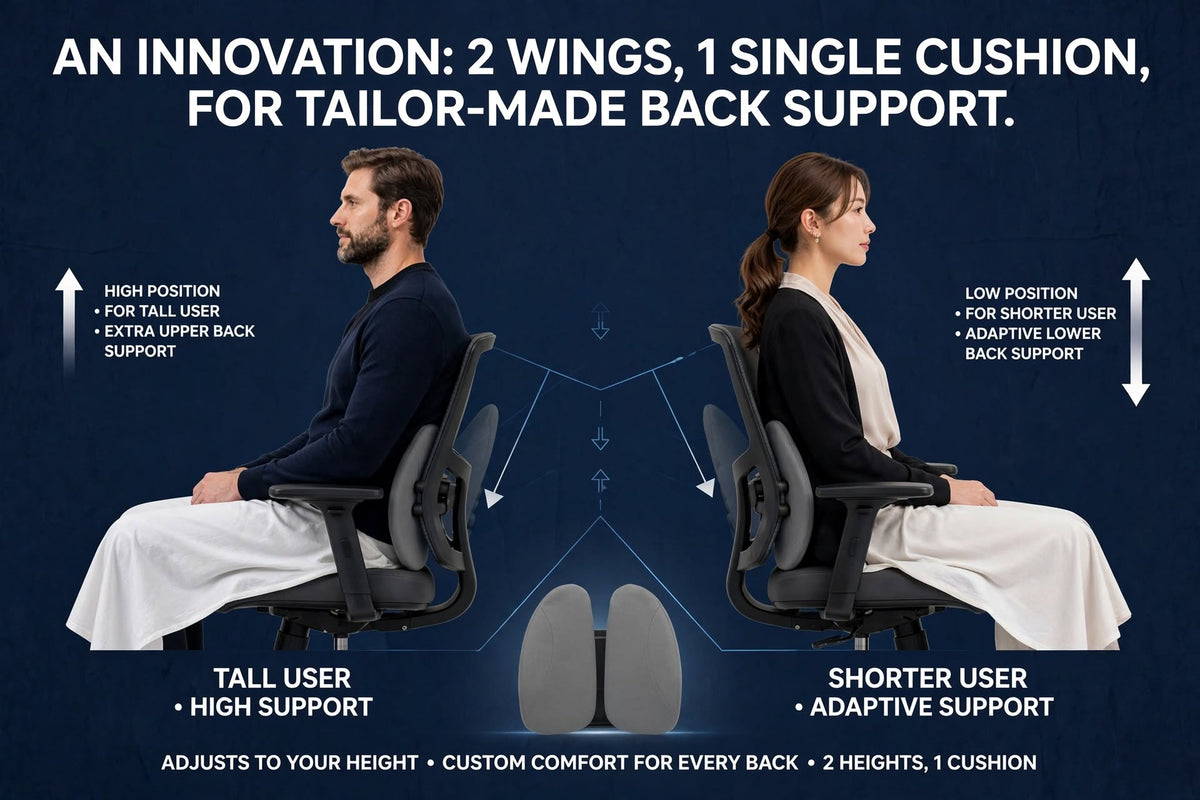 Nomassy Lumbar Support Cushion 1.0